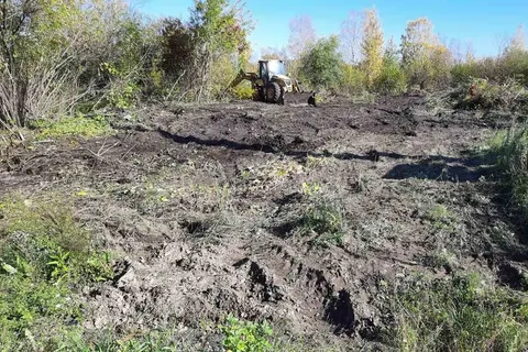 В Ярославле начались работы на «Озерной гривке»