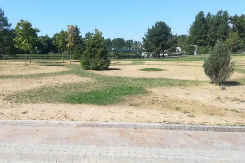 После требований мэра Ярославля трава на Стрелке не позеленела