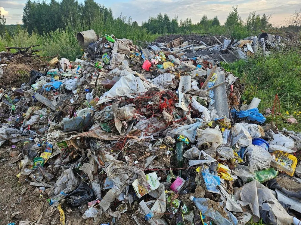 В деревню под Ростовом свозят самосвалы незаконного мусора