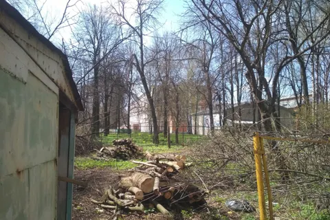 В Ярославле психбольница устроила «лесоповал»