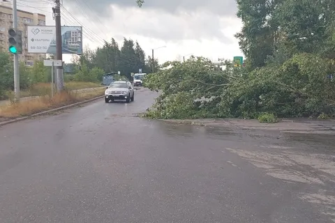 Проспект Машиностроителей в Ярославле завалило поваленными ураганом деревьями