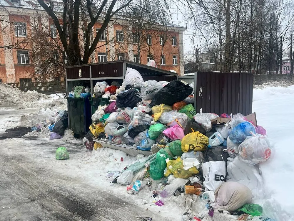 Прокуратура нашла нарушения при вывозе мусора в Ярославле