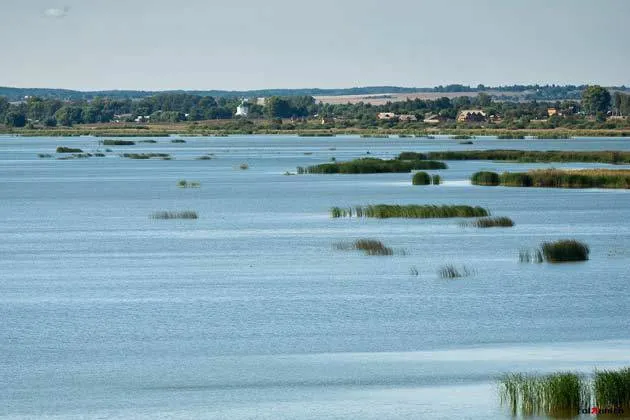 По результатам проб воды в Ростове вводится режим повышенной готовности