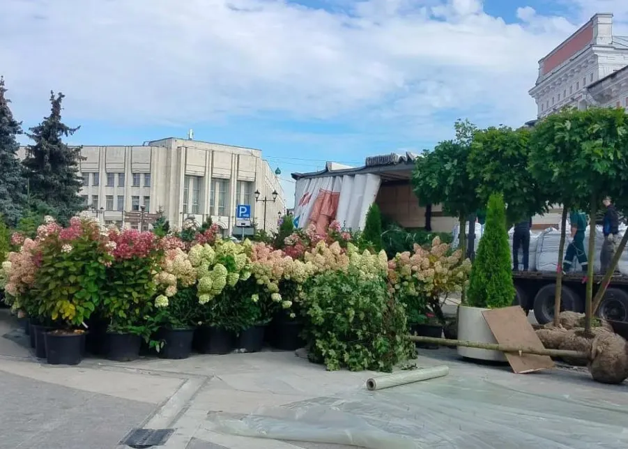 В Ярославле начинают расстановку мобильной зелени