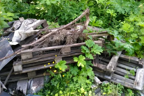 Прокуратура потребовала ликвидировать свалку отходов у дороги под Ярославлем