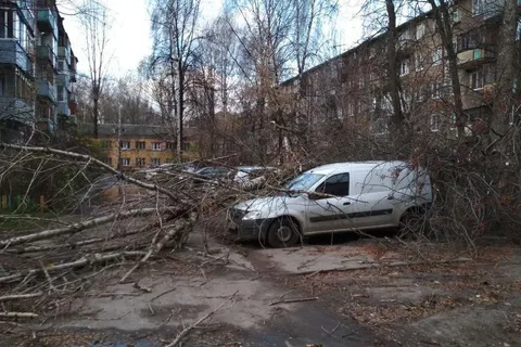 В Ярославль пришел ураган: фоторепортаж последствий природной стихии