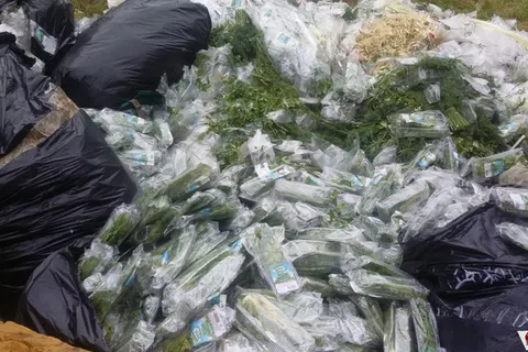В лесу под Ярославлем разгрузилась фура одного из сетевых магазинов