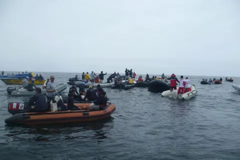 Ярославцы приняли участие в чемпионате мира по подводной охоте