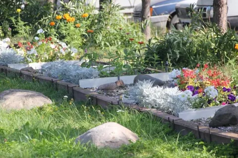 Итоги конкурса «Ярославль в цвету» подведут осенью