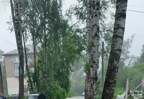В Ярославле из-за грозы и ветра падают столбы и деревья