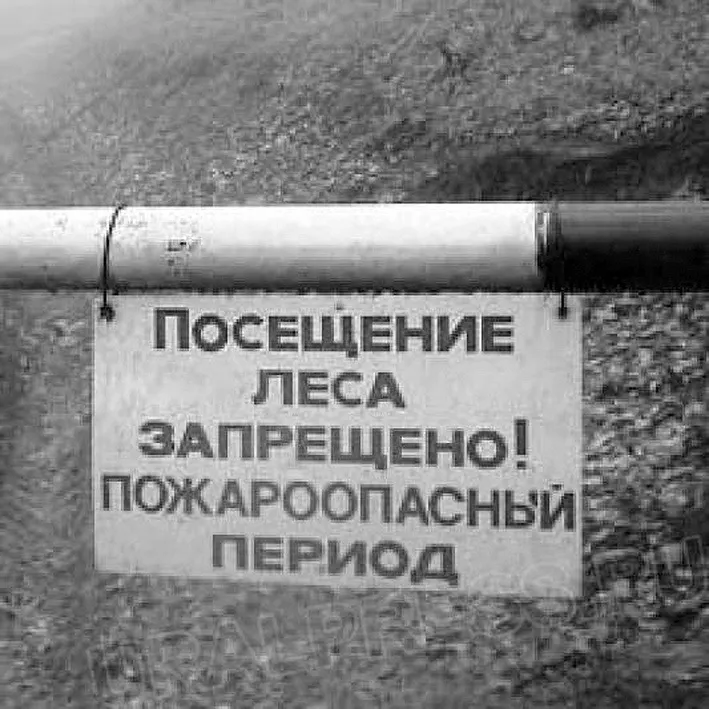 В лесах Ярославии будет введен пожароопасный режим