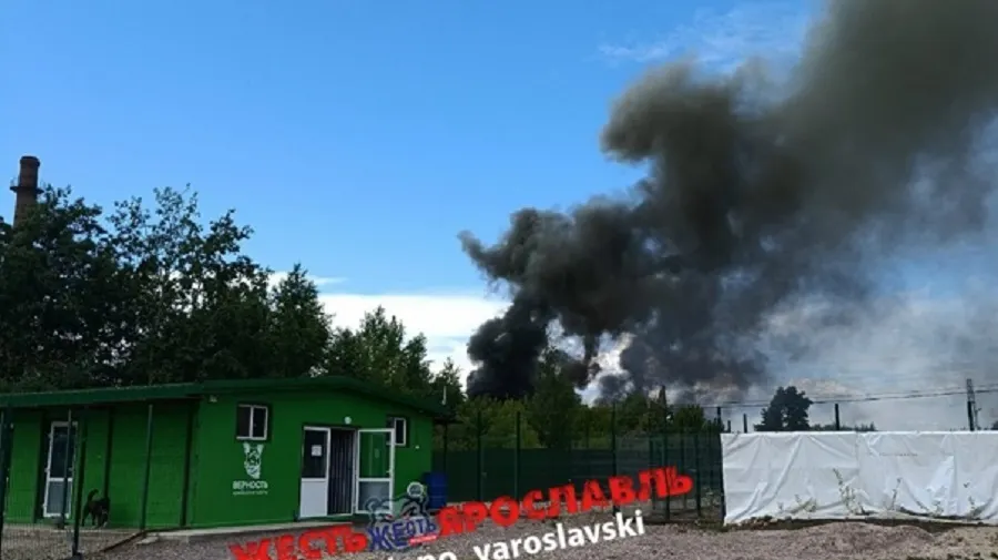 Рядом с собачьим приютом в Ярославле полыхала автомойка