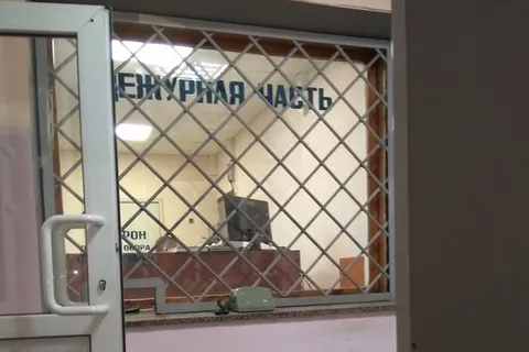Ярославские полицейские не нашли нападавших на участницу одиночного пикета