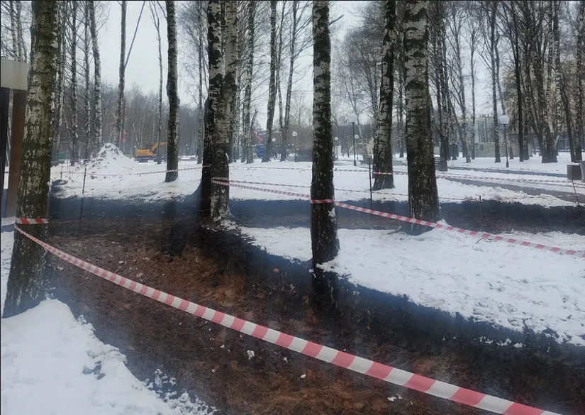 Благоустройство Юбилейного парка в Ярославле пройдет под наблюдением