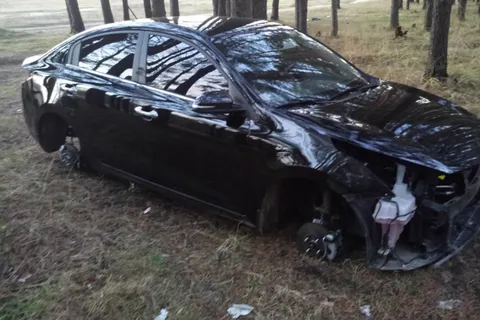 В Ярославле в лесу нашли новенькую иномарку