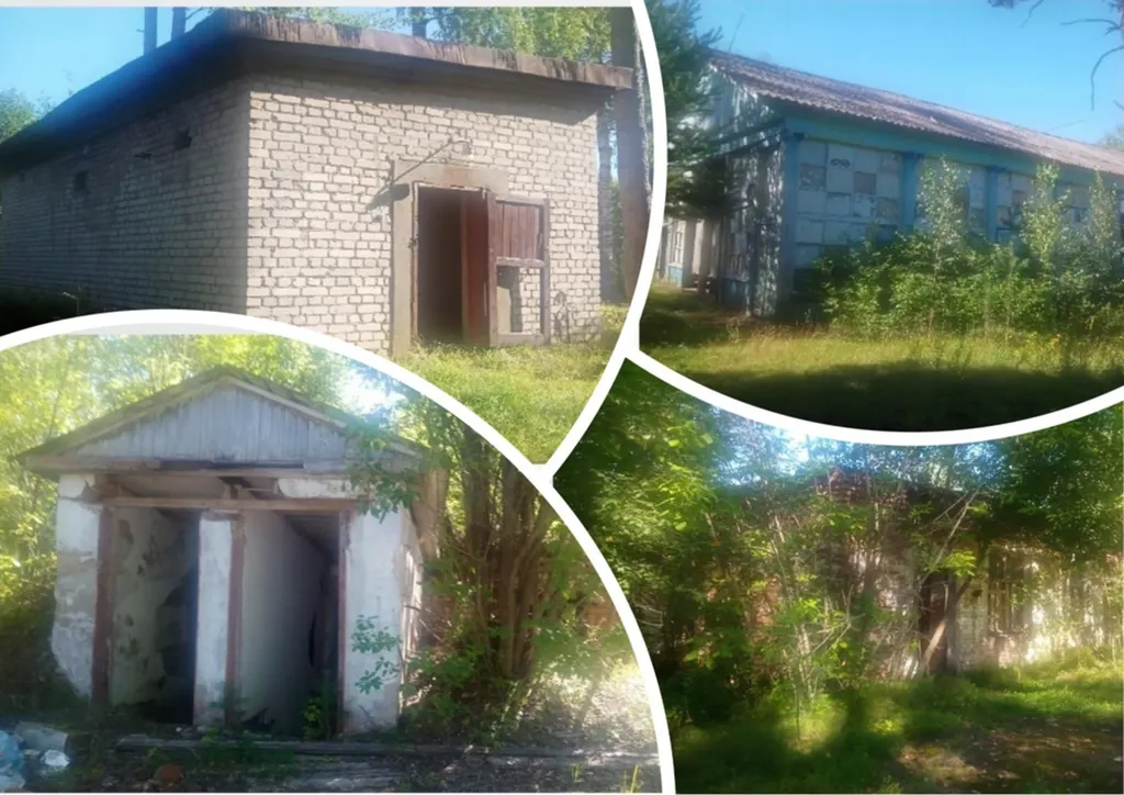 В Ярославской области продают детский лагерь на берегу Волги