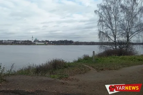 В Ярославле «зависли» итоги общественных обсуждений по благоустройству Павловской рощи