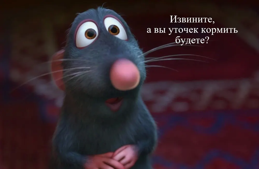 Мэрия Ярославля: крыс в парк привлекают утки