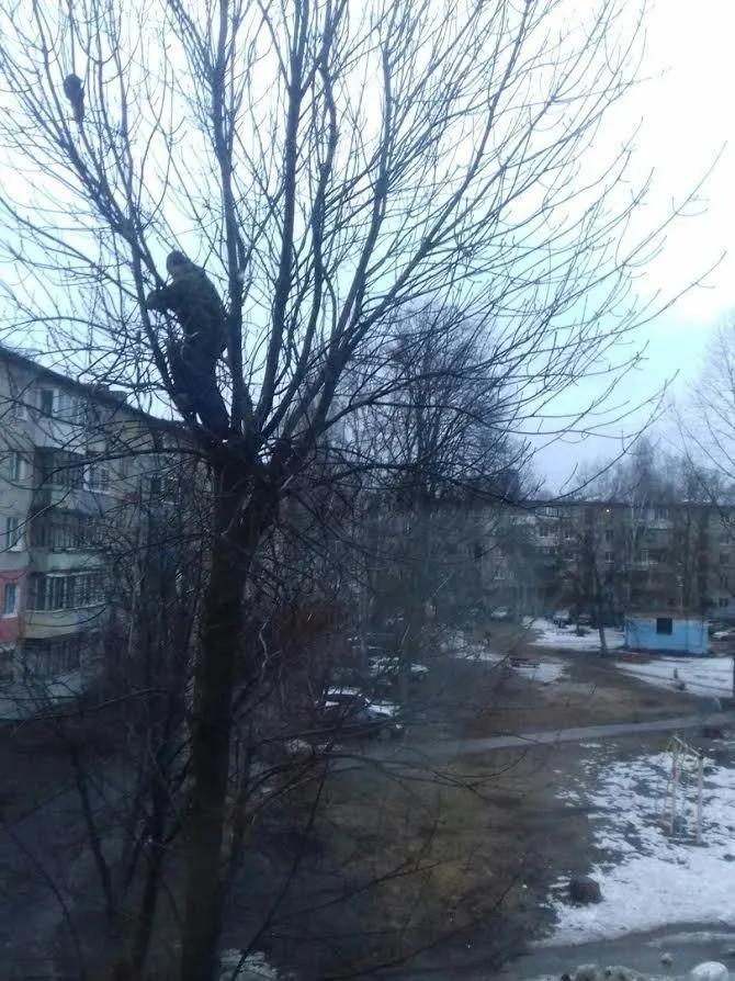Сергей Балабаев вошел в топовую десятку благодаря кошке