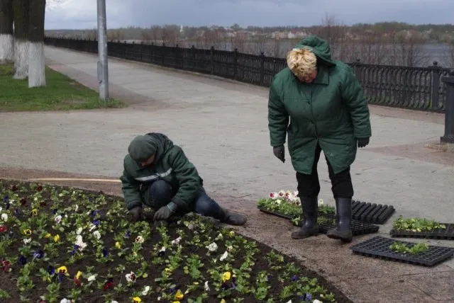 Ярославскую Стрелку украсили более 4,5 тысяч цветов