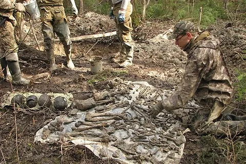 Ярославские поисковики «Высоты 76» вернулись из экспедиции