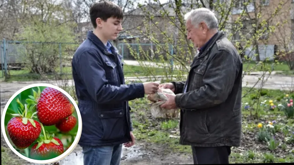 Пенсионер из Рыбинска отдал мошенникам более 4 миллионов по коду «клубника»