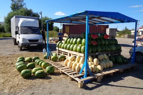 В Ярославской области обнаружили почти тонну непроверенных арбузов и дынь