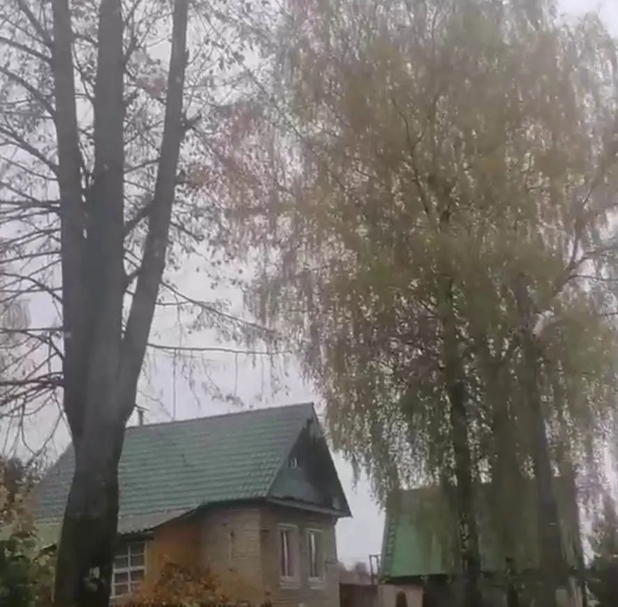 Рыбинцы потеряли сон из-за нависающих над домами деревьев
