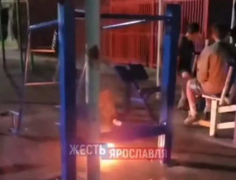 В Ярославле возбуждено уголовное дело за костер на спортплощадке
