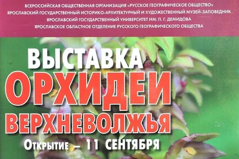 Жители Ярославля увидели цветы-бабочки. Фоторепортаж