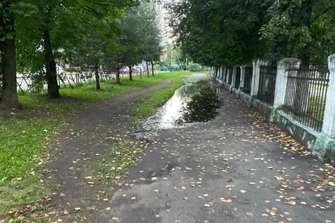 Ярославцы предлагают назвать лужу в честь известного человека