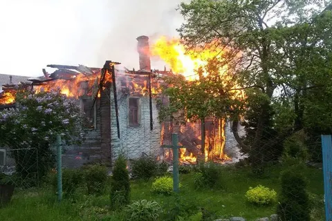 Семья Ольги Грибановой взывает о помощи