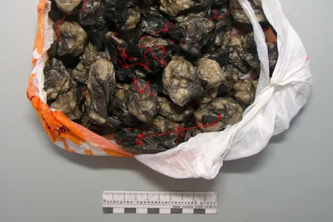 Ярославские наркополицейские изъяли 300 граммов героина