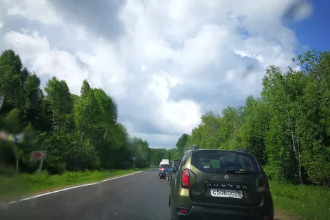 В Ярославской области ветер на трассе повалил деревья – машины встали