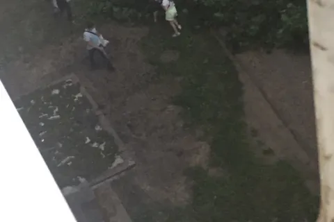 Деревья падали на машины: ярославцы делятся фото грозы и урагана