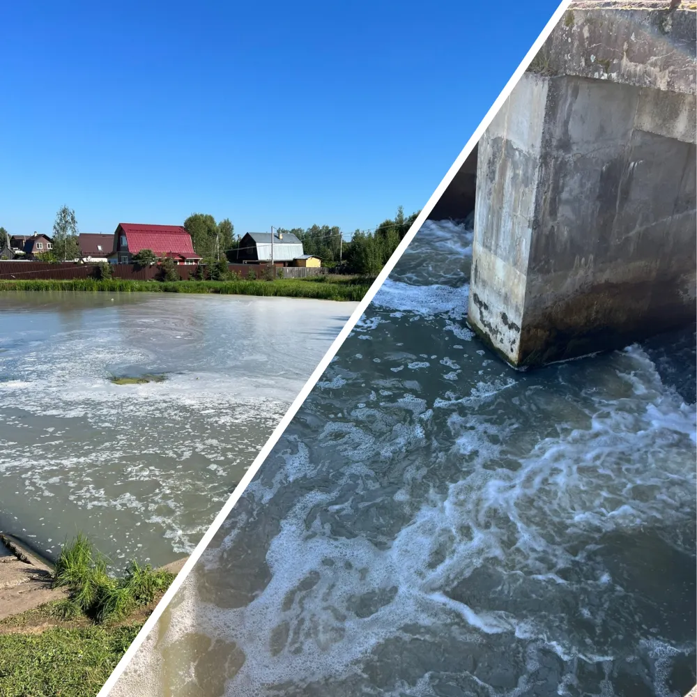 В Ярославской области река Вёкса продолжает белеть из-за водорослей