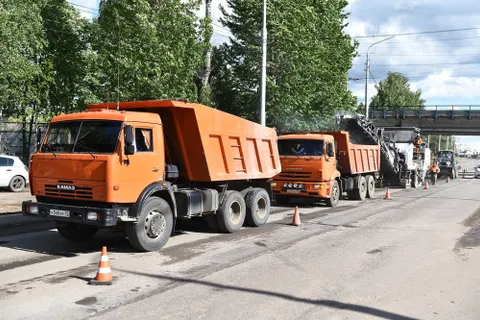 Мэр Ярославля проинспектировал Полушкину рощу