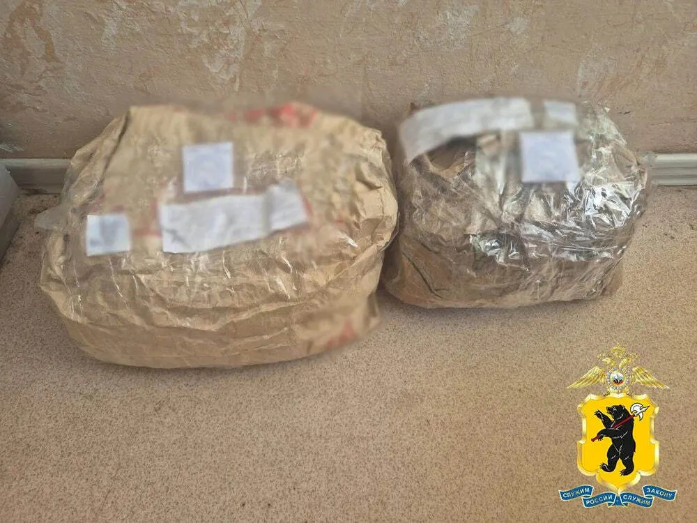 Полицейские нашли у ярославца почти полтора килограмма марихуаны