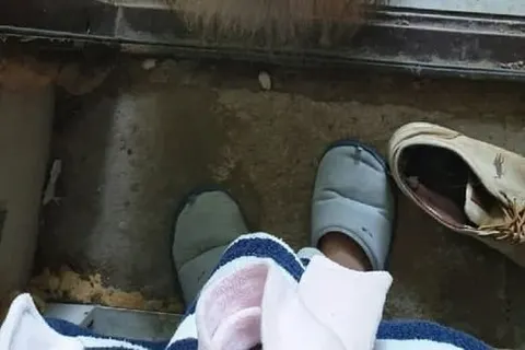Чудесное возвращение кота Кузи дало надежду хозяевам пропавших домашних любимцев