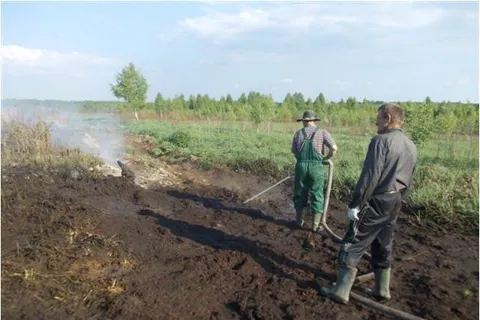 В Ярославской области горел торфяник