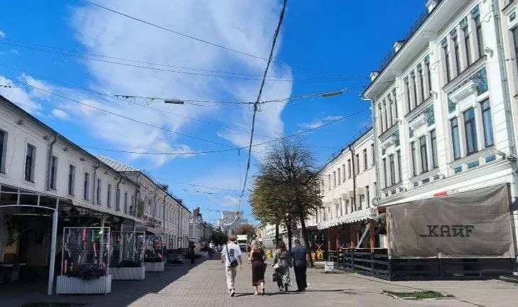 В пешеходном центре Ярославля ищут зеленые коридоры