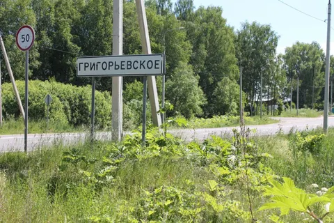 Ярославский детский омбудсмен продолжает борьбу с борщевиком Сосновского