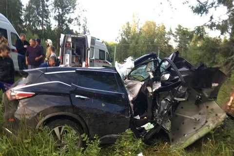 В Ярославской области «Ниссан» врезался в дерево: есть пострадавшие