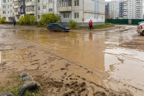 Строим и свинячим: ярославцы возмущены реализацией нацпроекта «Демография»