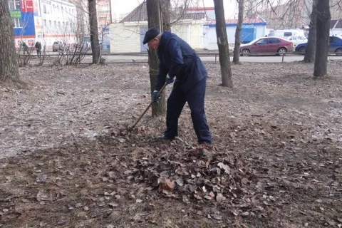 В Красноперекопском районе Ярославля проведено 25 субботников