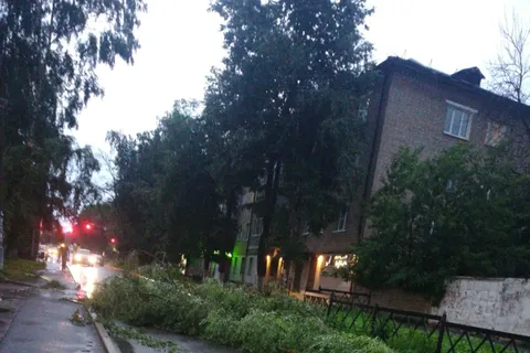 Деревья падали на машины: ярославцы делятся фото грозы и урагана