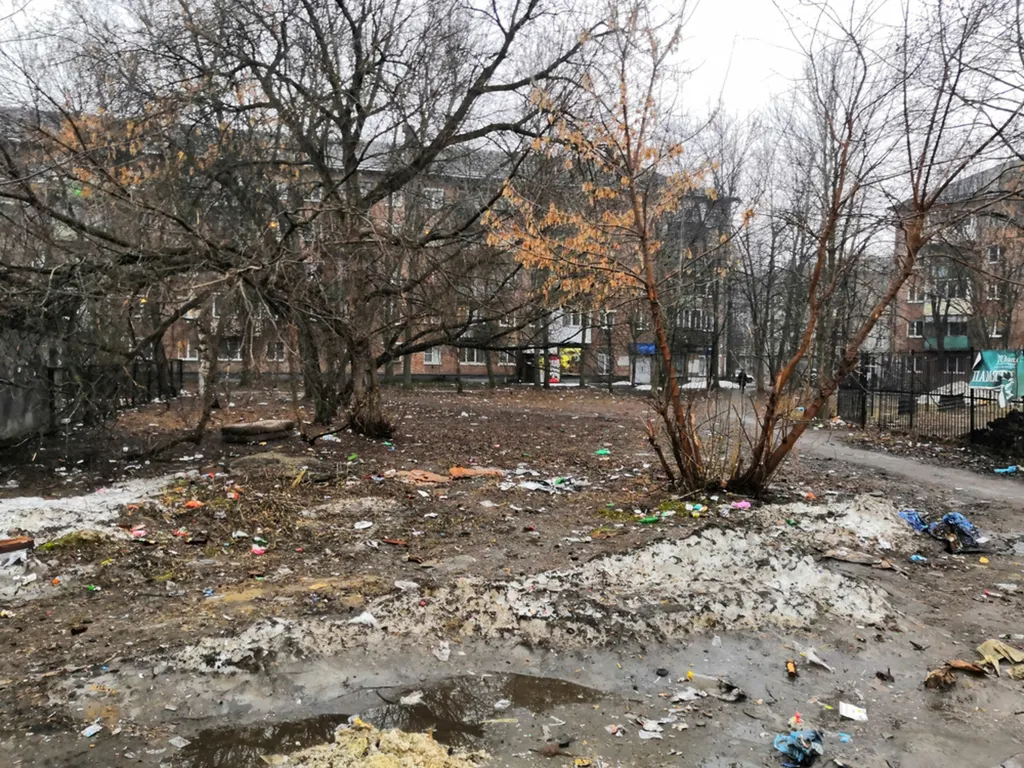Жители и гости Ярославля: город превратился в помойку