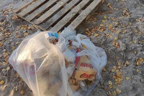 «Ноги тонут»: в Рыбинске протестировали новую собачью площадку