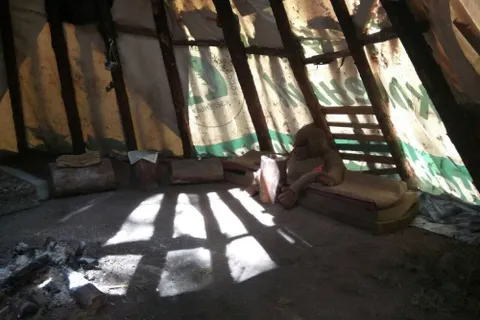 В Ярославле в сосновом бору обнаружили вигвам – подозревают сектантов