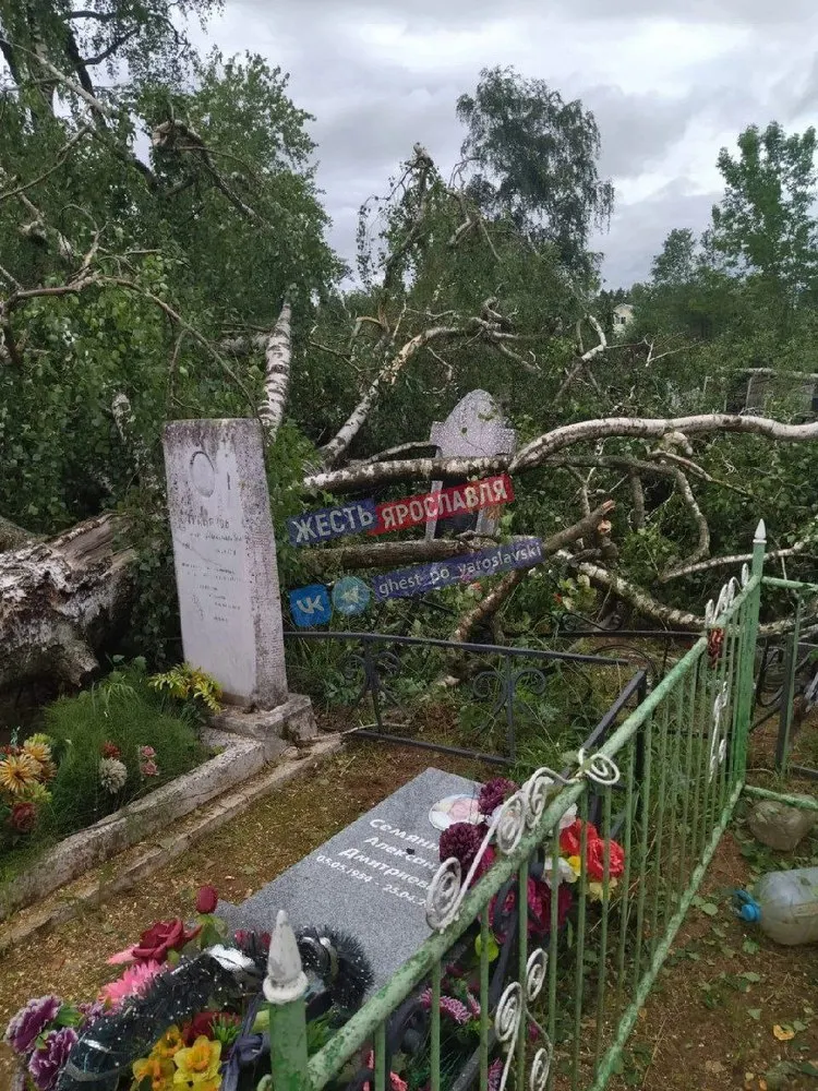 Кладбище под Ярославлем завалило деревьями